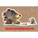 Dean Crouser Stickers - Bear Country Kitchen