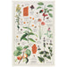 Danica Now Design Dishtowel Bee Varieties - Bear Country Kitchen
