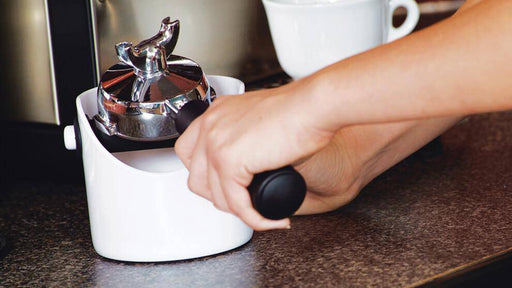 Dreamfarm Big Grindenstein Knockbox Black - Bear Country Kitchen