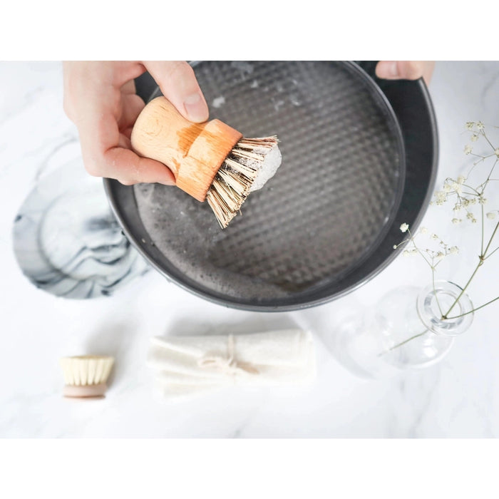 Plantish Sisal & Palm Pot Scrubber