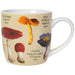 Danica Now Designs Mug Mushrooms - Bear Country Kitchen