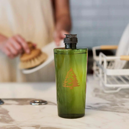 Thymes Frasier Fir Dish Washing Liquid - Bear Country Kitchen