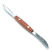 Foxrun Grapefruit Knife - Bear Country Kitchen