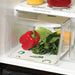Envision Home Fridge Bin Liners - Bear Country Kitchen