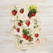 Danica Now Designs Dishtowel Vintage Strawberries - Bear Country Kitchen