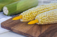 Foxrun Corn Holders Set Of 6 - Bear Country Kitchen