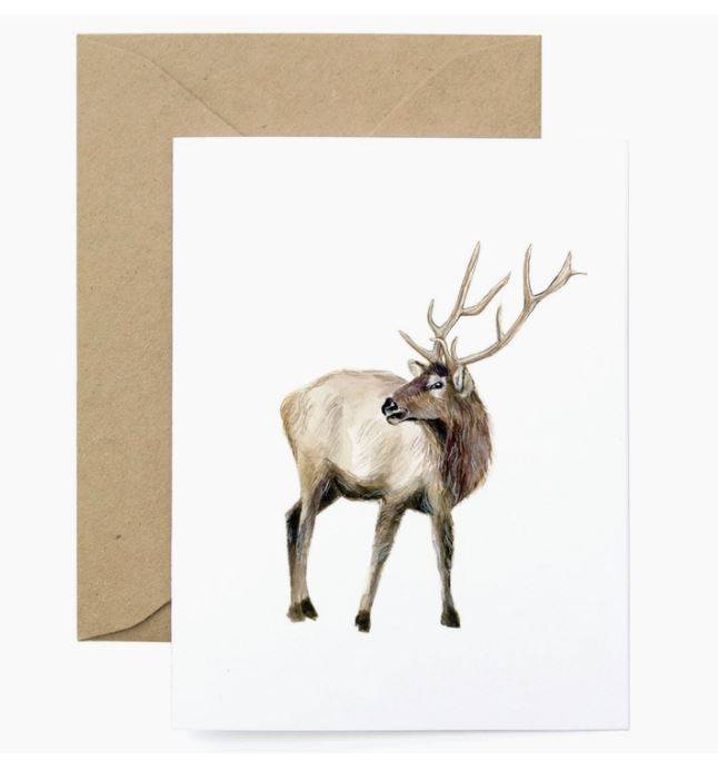 Lana's Shop Cards - Bear Country Kitchen