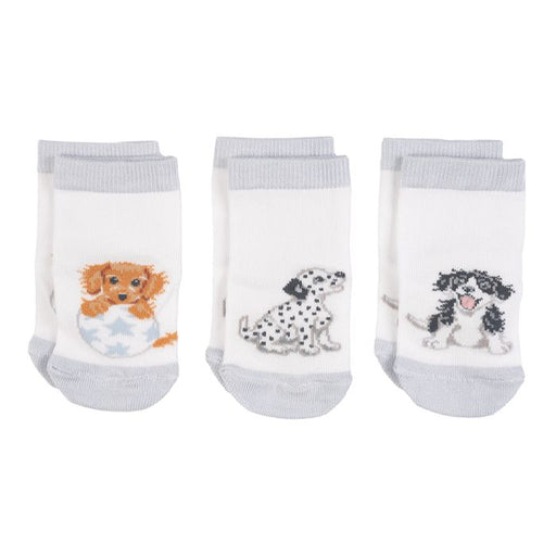 Wrendale Little Wren Baby Socks Little Paws - Bear Country Kitchen