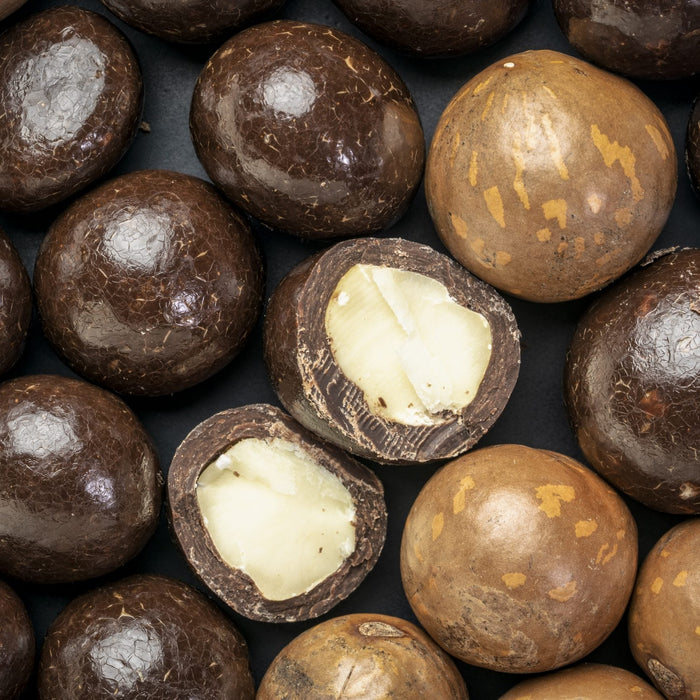 Rogers Chocolate Covered Macadamias - Bear Country Kitchen