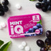 Big Sky Mint IQ - Bear Country Kitchen