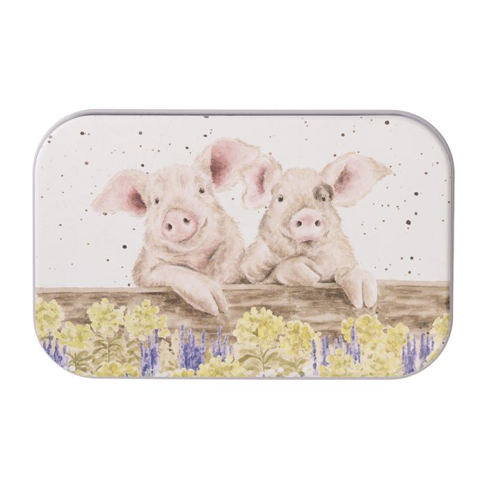 Wrendale Mini Tin Nosy Neigh-boars (Pigs) - Bear Country Kitchen