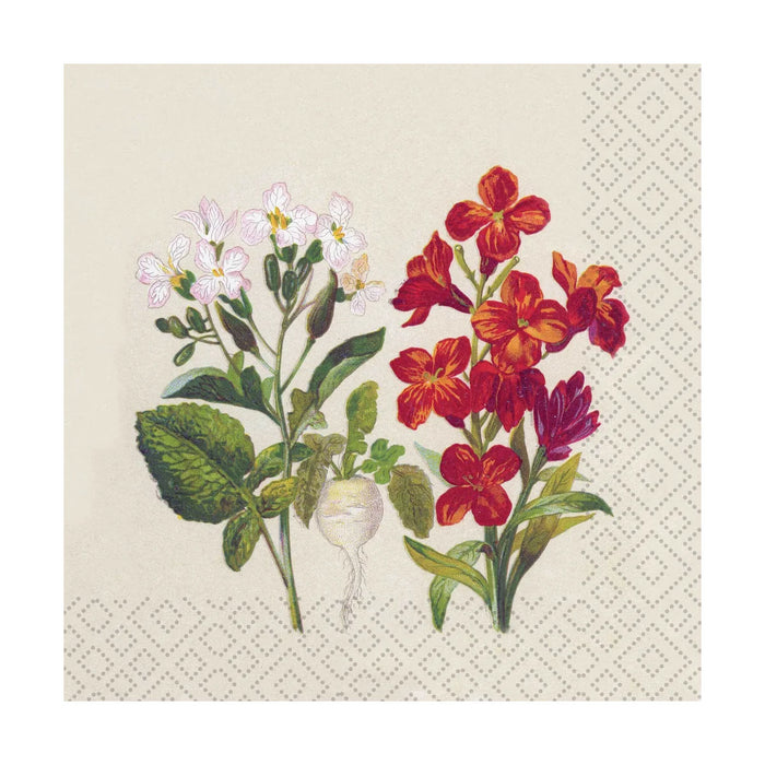 Paper Design Naturals Luncheon Napkin Botanical - Bear Country Kitchen