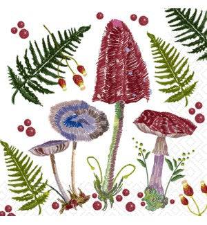 Paper Design Luncheon Napkin - In The Forest - Bear Country Kitchen