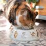 Wrendale Cat Bowl - Bear Country Kitchen