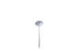 rosti ladle - Bear Country Kitchen