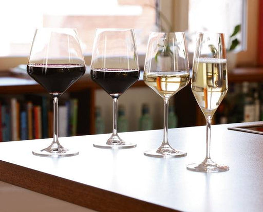 Spiegelau Style Champagne Glass - Bear Country Kitchen