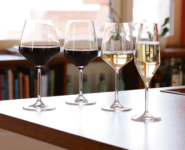 Spiegelau Style Champagne Glass - Bear Country Kitchen