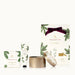 Thymes Holiday Gift Set Frasier Fir - Bear Country Kitchen