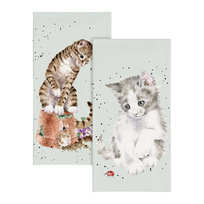 Wrendale Pocket Tissue Ladybird (Cat) - Bear Country Kitchen