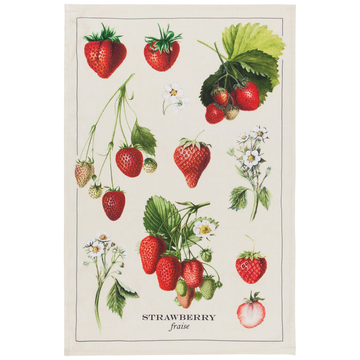 Danica Now Designs Dishtowel Vintage Strawberries - Bear Country Kitchen