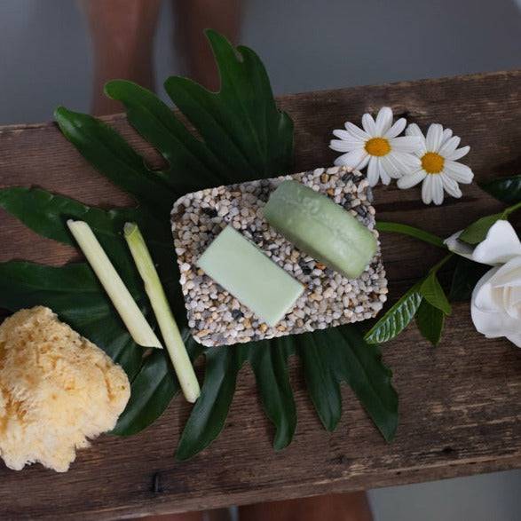 Wild Prairie Stone Soap Plate - Bear Country Kitchen