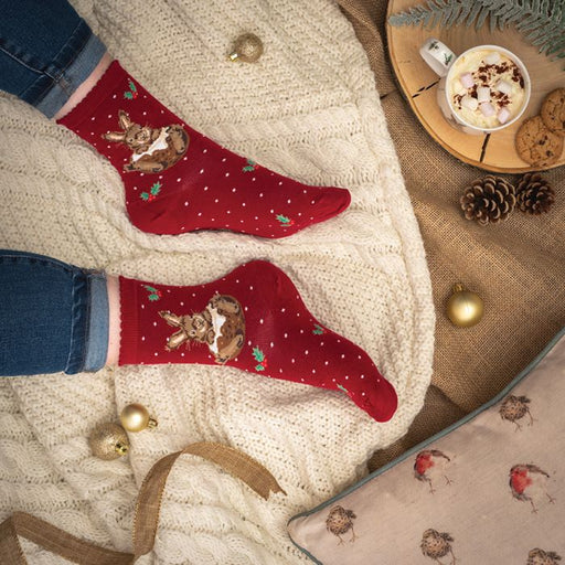 Wrendale Womens Bamboo Socks Little Pudding (Red) - Bear Country Kitchen