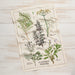 Danica Now Design Dishtowel Garden Herbs - Bear Country Kitchen